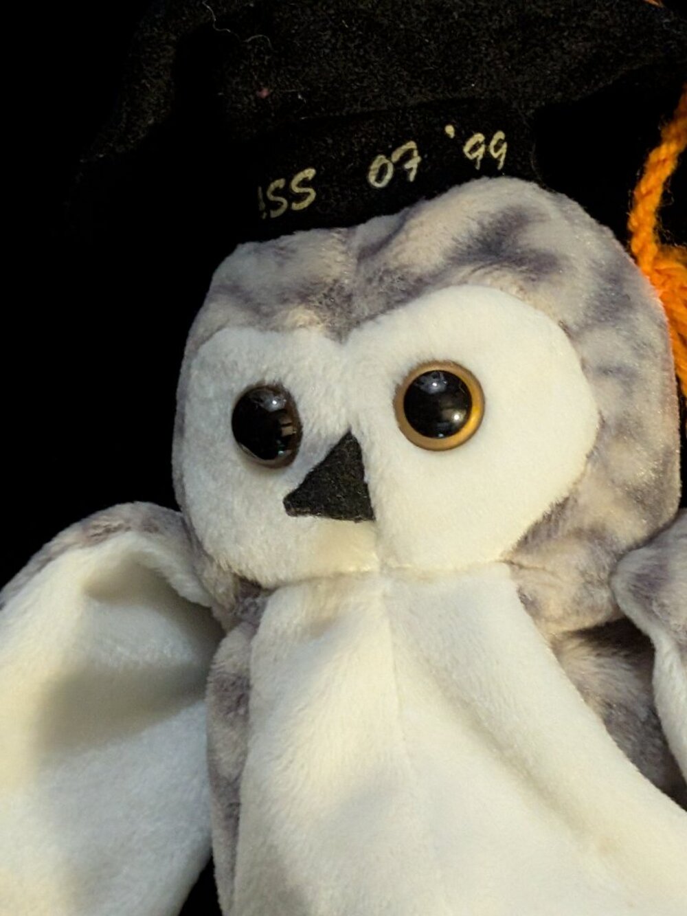 Rare TY Beanie Baby Wiser 1999, Multiple Tag Errors, Mint Condition PE Pellets